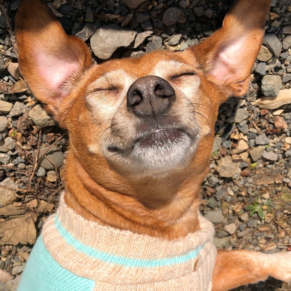 Meet your Posher, Kimberly